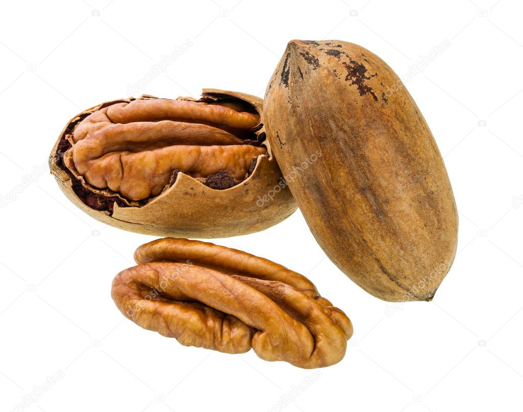 Pecan  nut  macro shot isolated on white background