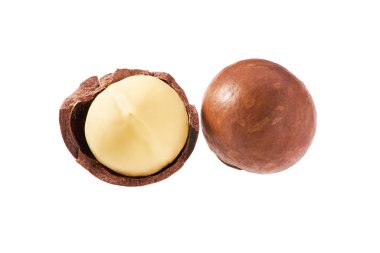 Macadamia fındığı beyaz arkaplanda izole edildi