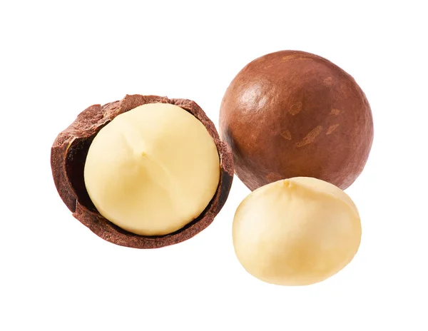 Macadamia fındığı beyaz arkaplanda izole edildi