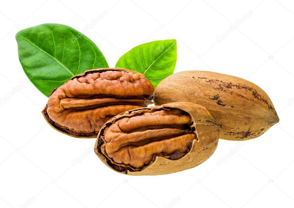 Three cracked pecan  nuts with green leaves isolated on white.