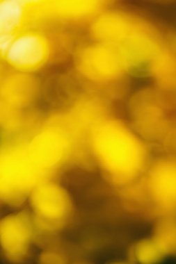 Sarı bokeh arka ışık plan