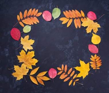 Çok renkli sonbaharında yapılan çerçeve bir siyah arka plan üzerine bırakır. Dikdörtgen çerçeve. Üstten görünüm