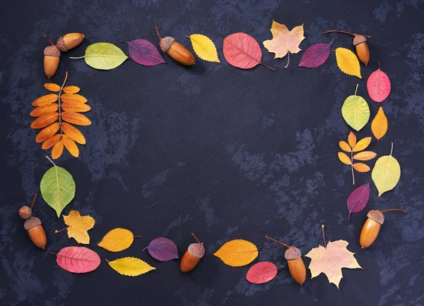 Frame made of multi-colored autumn leaves  and acorns on a black background. Rectangular frame.Top view