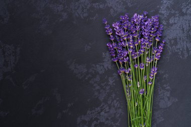 Siyah bir arka plan üzerinde Lavanta çiçek demet. Üstten görünüm