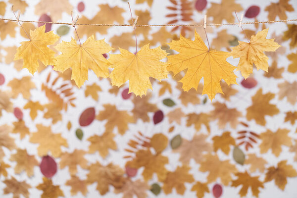 autumn composition,clothes pegs hold dried autumn leaves on a rope,abstract blurred autumn background