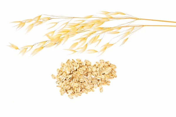 Bundle Oat Plant Oatmeal Isolated White Top View — Stock Photo, Image