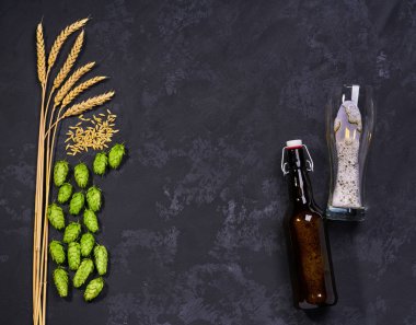 hop taze yeşil ile zanaat bira. Üstte görüntü