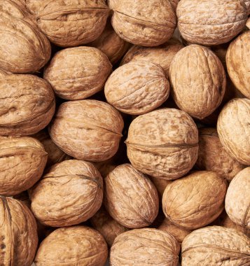 Kabuksuz ceviz arka plan yakın çekim, ceviz doku olarak. Üstte görüntü.