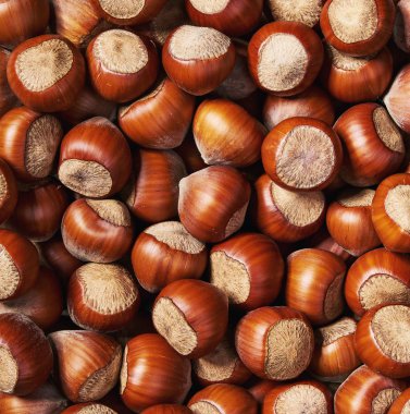 Fındık arka plan yakın çekim. Üst te. Arka plan olarak lezzetli fındık.