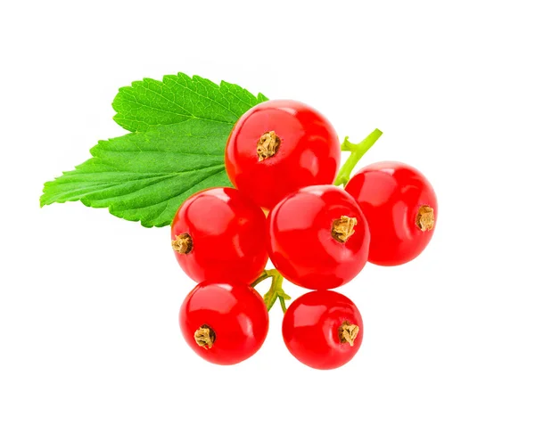 Красная смородина ягоды с зеленым листом изолированы на белом фоне — стоковое фото