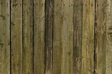 Eski yeşil ahşap doku arka plan. Yatay düzenleme.