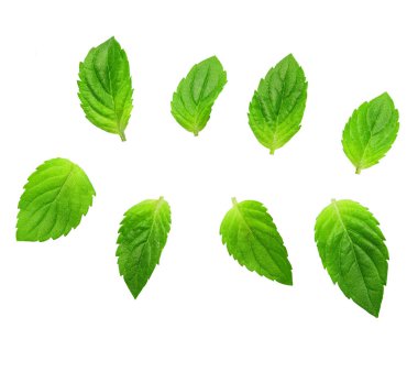Nane yaprakları beyaza izole edilmiş. Nane Kırpma Yolu.
