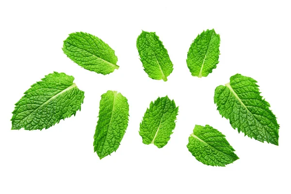 Mint leaves isolated on white. Mint Clipping Path. — Stock Photo, Image