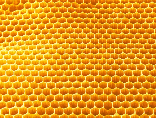 Bakgrundskonsistens Och Mönster Vax Honungskakor Från Bikupa Fylld Med Gyllene — Stockfoto