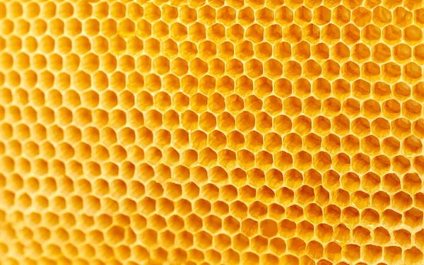 Bakgrundskonsistens Och Mönster Vax Honungskakor Från Bikupa Fylld Med Gyllene — Stockfoto