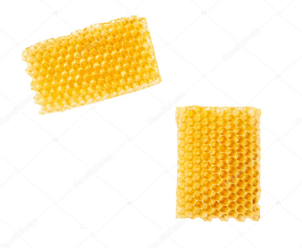 wax honeycombs from a bee hive filled with golden honey, honey bee nectar.