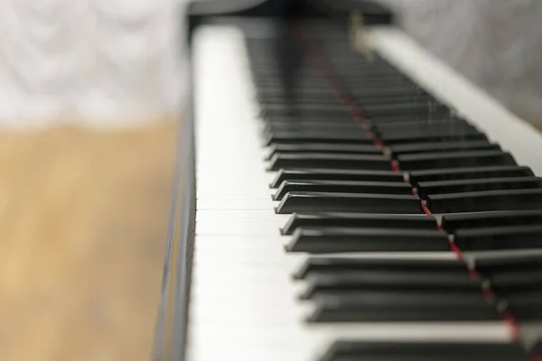 Piano keys close-up, selected focus. Close up view of black piano keys , selected focus