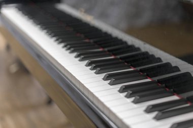 Piyano yakın çekim, seçilen odak tuşları. Seçilen odak siyah piyano tuşlarının görünümünü kapat .