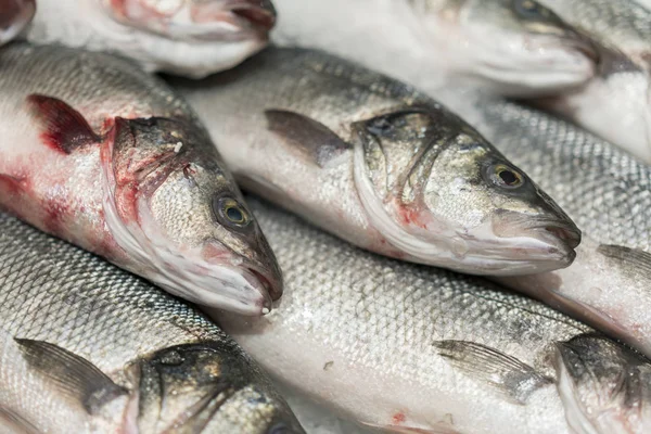 taze soğutulmuş deniz balığı buz üzerinde. Doğal aroması ve doğal görünümünü korumak için erime değil taze buz kalın yatağı üzerinde görüntülenen pazara denizden taze balık.