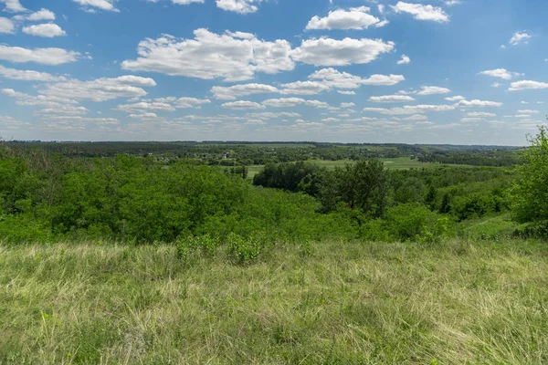 Beautiful Green Landscape Blue Sky Clouds Lawn Lawn Forest Line — Stock Photo, Image