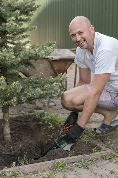 Hombre Está Plantando Árbol Navidad Hombre Plantando Pequeño Árbol Navidad — Foto de Stock