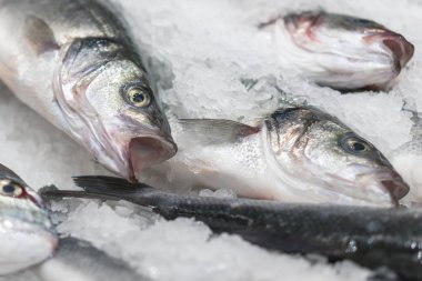 taze soğutulmuş deniz balığı buz üzerinde. Doğal aroması ve doğal görünümünü korumak için erime değil taze buz kalın yatağı üzerinde görüntülenen pazara denizden taze balık.