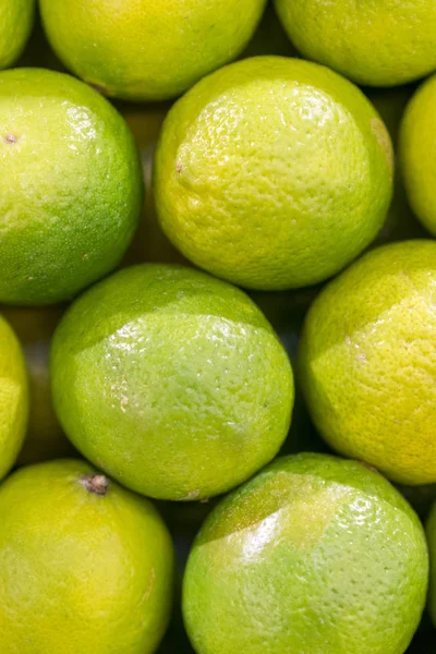 lime harvest. many green limes. lime background. limes from tree. lime harvest. many limes. perfect limes. vertical photo.