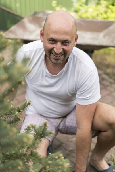 Hombre Está Plantando Árbol Navidad Hombre Plantando Pequeño Árbol Navidad — Foto de Stock