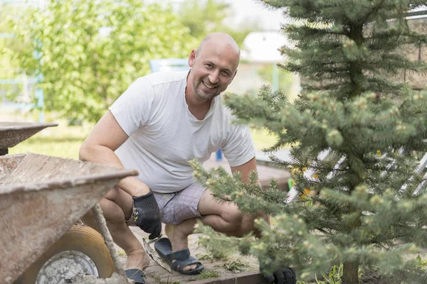 Bir adam bir Noel ağaç mı dikiyor. Adam çıplak elle ve bilim laboratuarı kabı ile Silty toprak yerdeki küçük Noel ağacı dikme. bahçede bir ağaç dikme bahçıvan.
