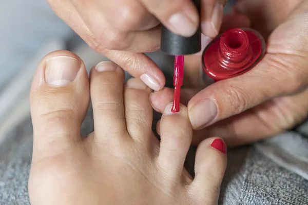 The master covers the customer's nails with varnish. Hands in gloves cares about a woman's foot nails. Pedicure, manicure beauty salon concept. Nail varnishing in red color