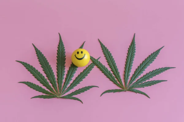 Konceptet Cannabis Ökar Humör Cannabis Marijuana Och Ett Leende Rosa — Stockfoto