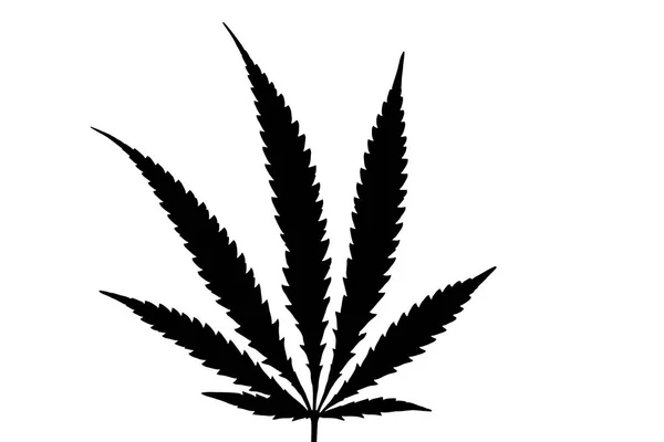 Černá Marihuana Leaf Izolovaných Bílém Pozadí — Stock fotografie