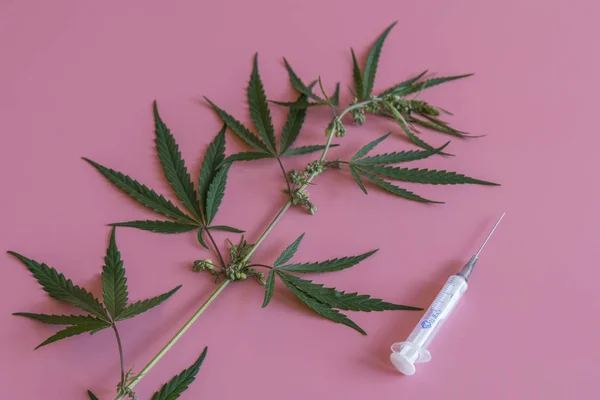 Begreppet Marijuana Behandling Ett Cannabis Löv Och Spruta Rosa Bakgrund — Stockfoto