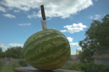 Gökyüzü bulutlu yeşil karpuz.