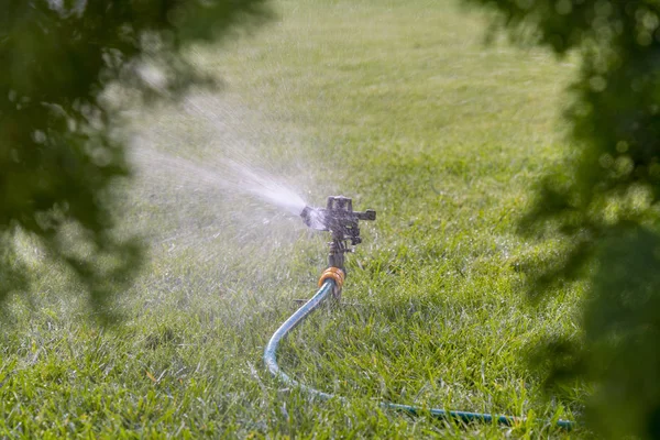 Garden irrigation system watering lawn. watering the lawn in the hot summer.