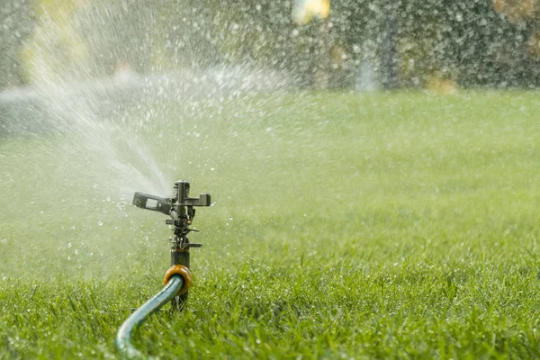 芝生に水をまく庭の灌漑システム 暑い夏に芝生に水をまきます 緑の芝生に水を卵巣摘出の芝生のスプリンクラーです 灌漑システム 自動散水芝生 ガーデニング — ストック写真