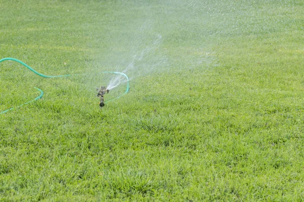 Дробарка Газону Просочує Воду Над Зеленою Травою Система Зрошення Автоматичний — стокове фото