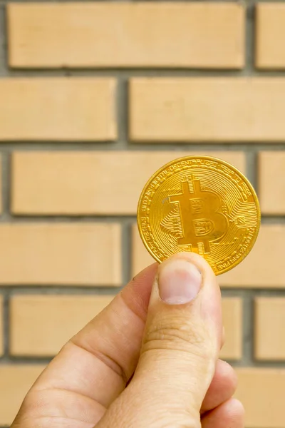 Bitcoin Houden Hand Tegen Achtergrond Van Gele Bakstenen Verticale Foto — Stockfoto