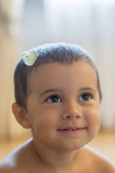 white butterfly on the head of a baby. Happy little boy with a butterfly on his head. vertical photo.