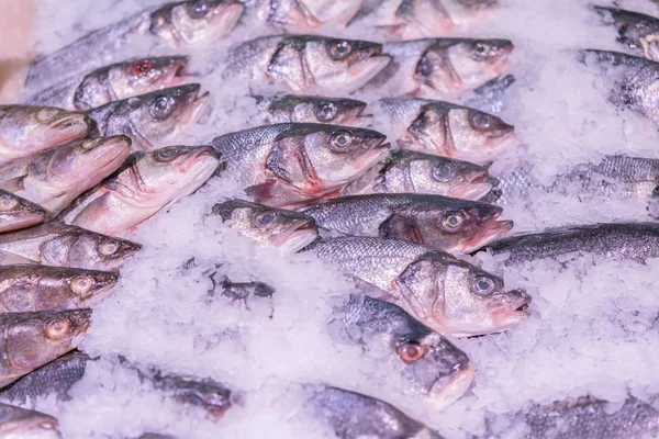 Fresh sea fish in the ice in the store. Clese up of frozen fish. Fresh fishes on ice in open market.