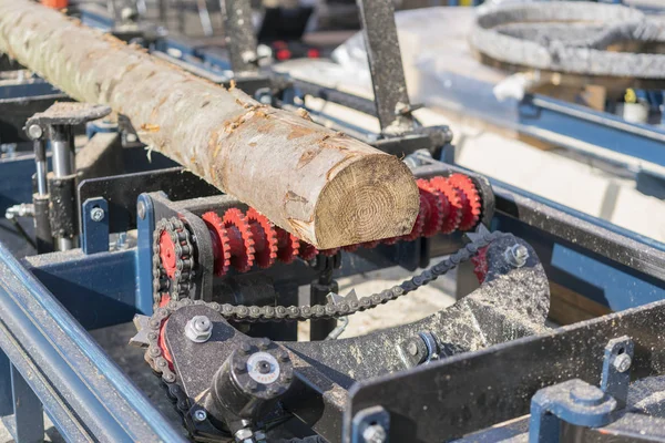 Bıçkıhane Teçhizat Testere Makinesindeki Makine Kayıtları Tahta Tahtalardaki Ağaç Gövdesini — Stok fotoğraf