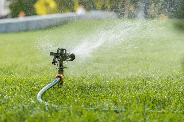 Garden Irrigation System Watering Lawn Watering Lawn Hot Summer Lawn — Stock Photo, Image