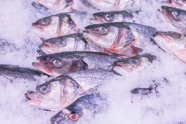 Свежая морская рыба во льду в магазине. Клей из замороженной рыбы. Свежие рыбы на льду на открытом рынке . — стоковое фото
