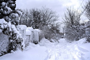 kar. Kış Bahçesi. Frost. Karlı yol.