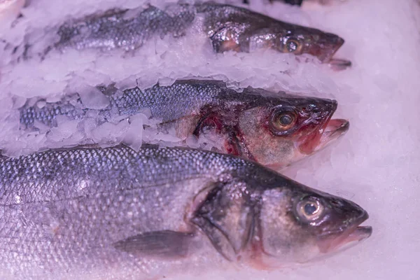 Pescado fresco en el hielo de la tienda. Clese de pescado congelado. Peces frescos sobre hielo en el mercado abierto . — Foto de Stock