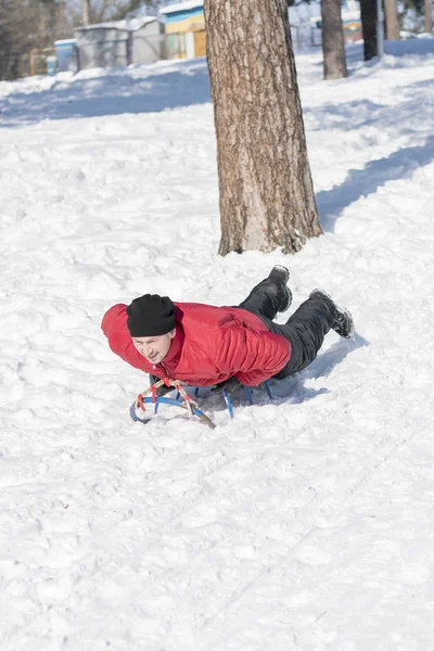 Ung Man Med Släde Snön Ung Man Att Göra Släden — Stockfoto