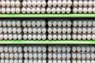 Tavuk yumurtası plastik ambalaj mağazada.