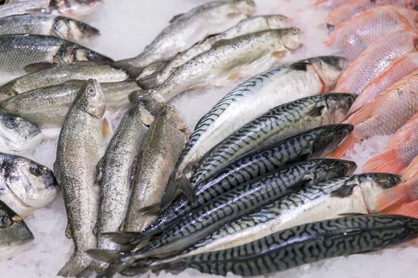 Свежая Морская Рыба Льду Супермаркете Здоровое Здоровое Питание — стоковое фото