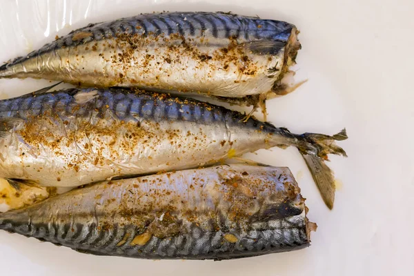 Three Baked Fish White Plate Healthy Food Seafood Mackerel — Stock Photo, Image