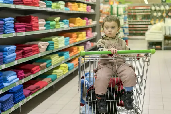 Aranyos Totyogó Fiú Ülő Ban Egy Kosár Egy Szupermarketben Zsuzsu — Stock Fotó